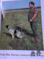 Setter Anglais CARL DEL ZAGNIS Setter Anglais CARL DEL ZAGNIS
